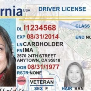 USA DRIVERS LICENSES