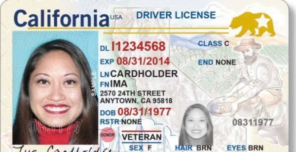 USA DRIVERS LICENSES